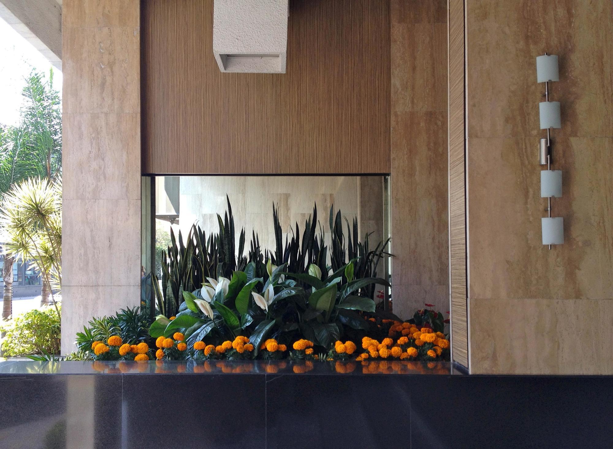 Hotel Marbella Μεξικό Εξωτερικό φωτογραφία